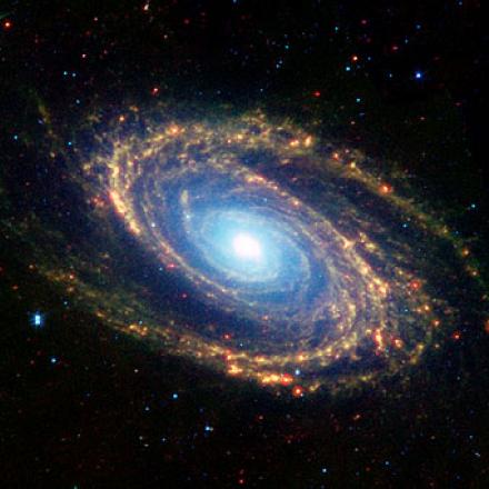 Department of Physics