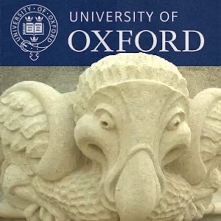 The Oxford Year